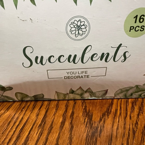 Faux Succulents - Green 16 pcs - Picture 2 of 16